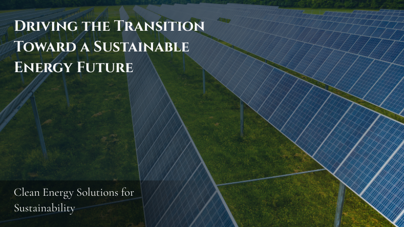 Driving the Transition Toward a Sustainable Energy Future